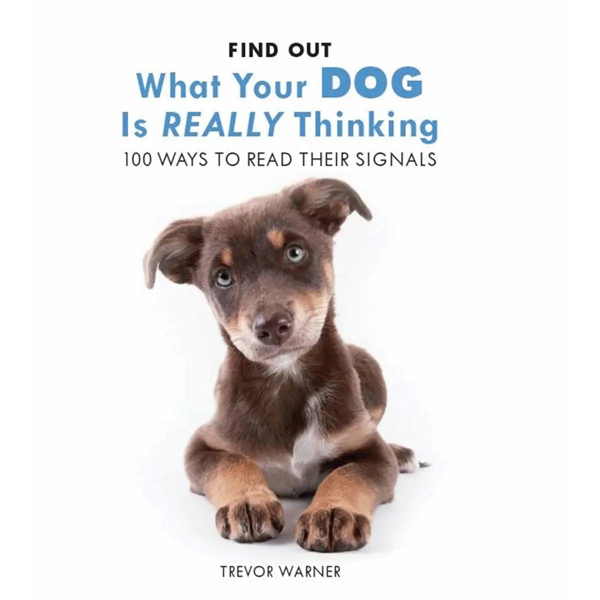 Find Out What Your Dog is Really Thinking Book - Zhivago Gifts