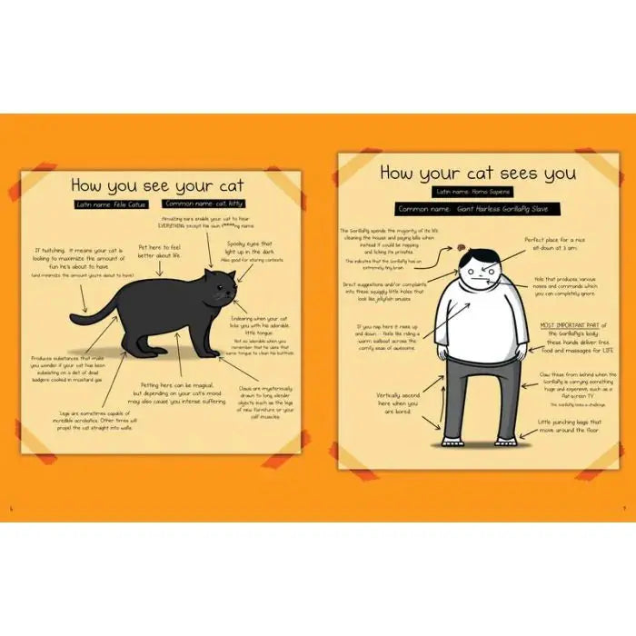 How To Tell If Your Cat Is Plotting To Kill You - Zhivago Gifts