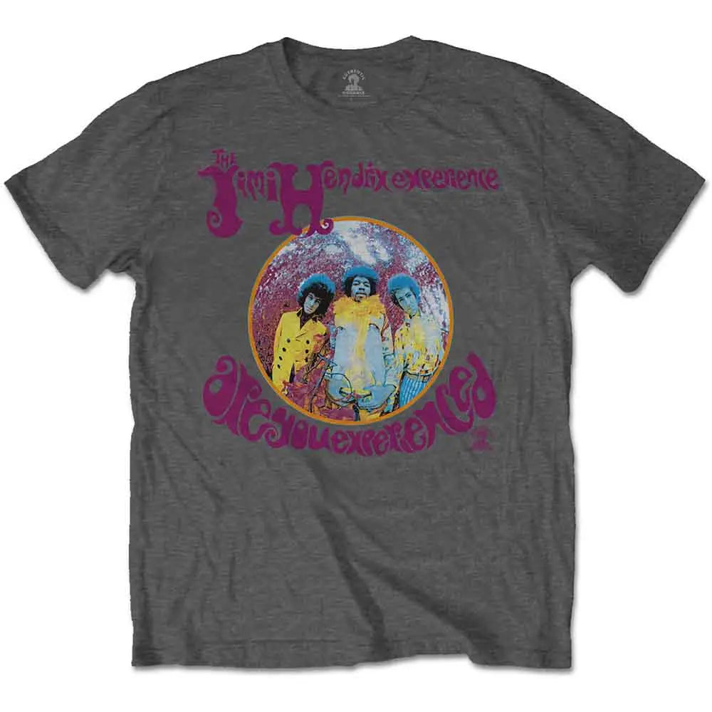 Jimi Hendrix Grey T-Shirt Are You Experienced? Ireland Vinyl