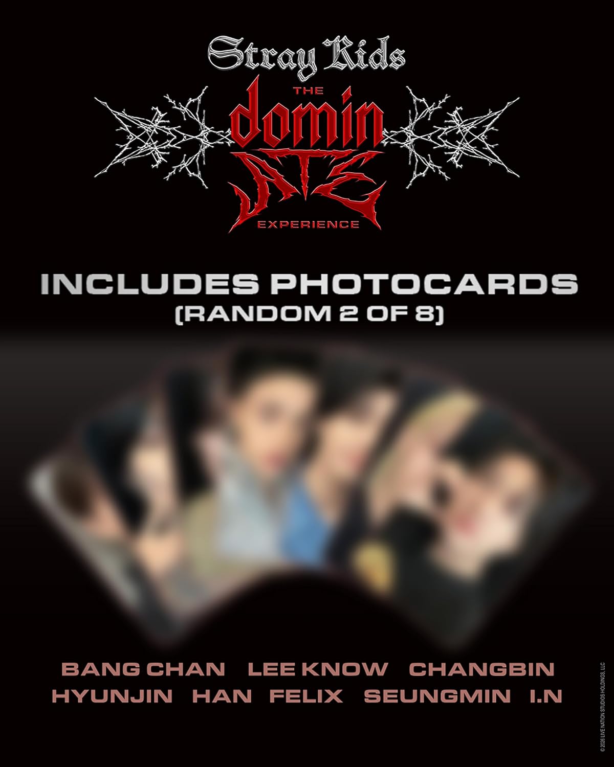 Stray Kids: The dominATE Experience DVD