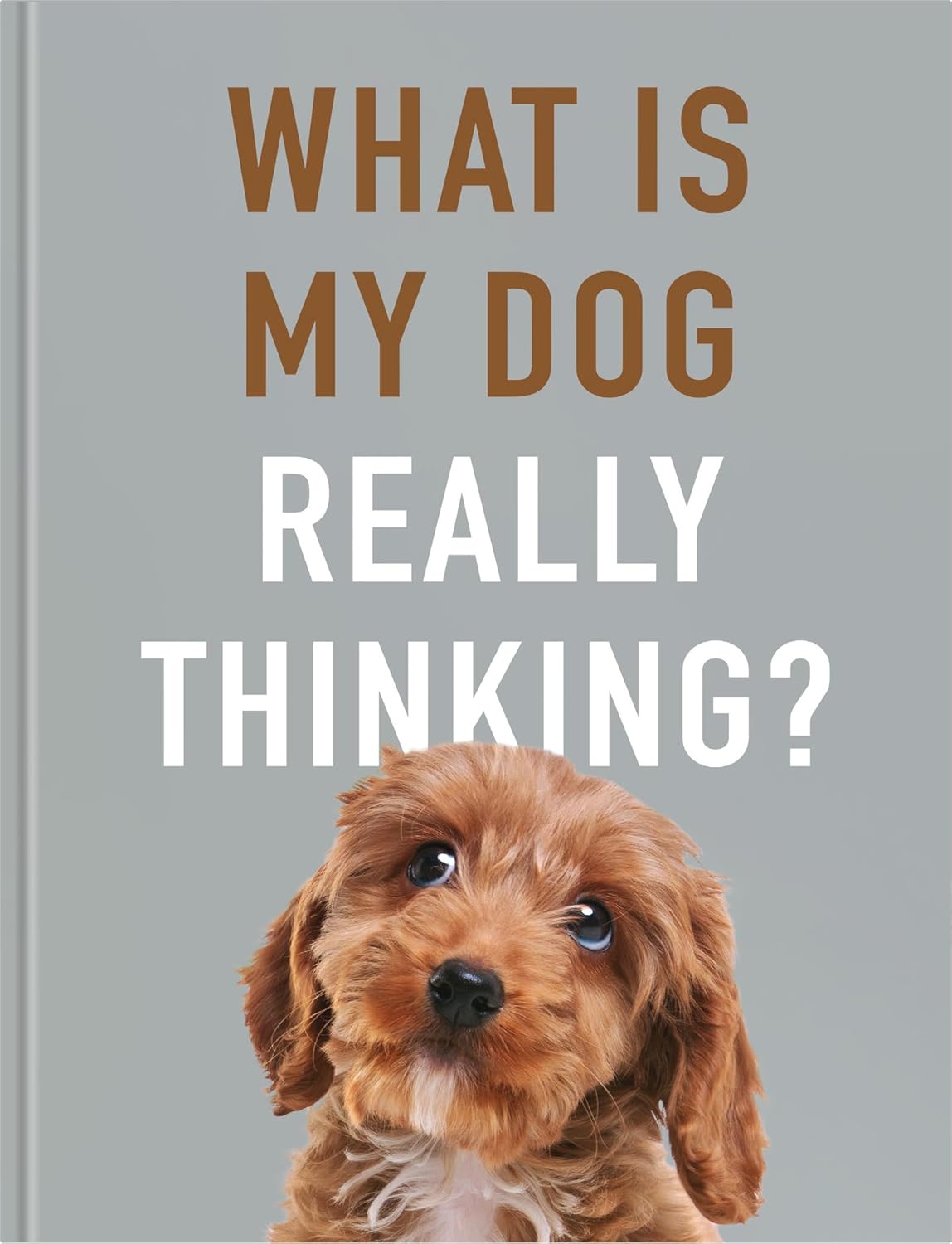 What Is My Dog Really Thinking? Book Zhivago Gifts
