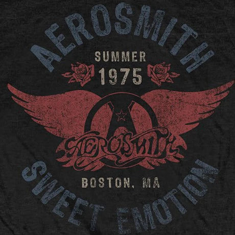 Aerosmith T-Shirt Sweet Emotion