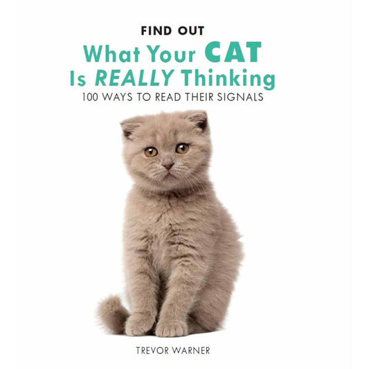 Find Out What Your Cat is Really Thinking - Zhivago Gifts