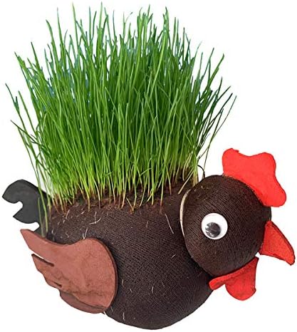 Grow Your Own Hairy Cock - Zhivago Gifts