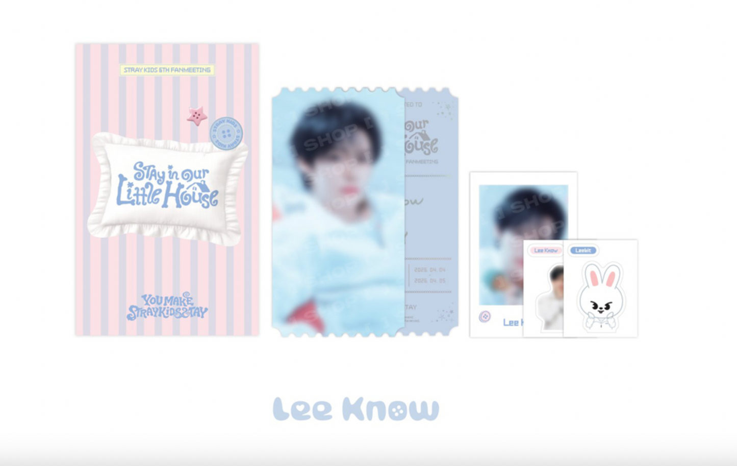 Stray Kids in Our Little House MD - SPECIAL TICKET SET