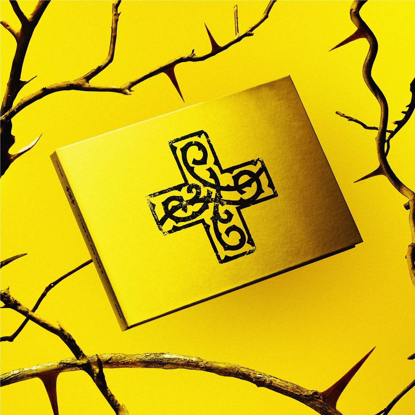 TXT - 7TH YEAR: A Moment of Stillness in the Thorns