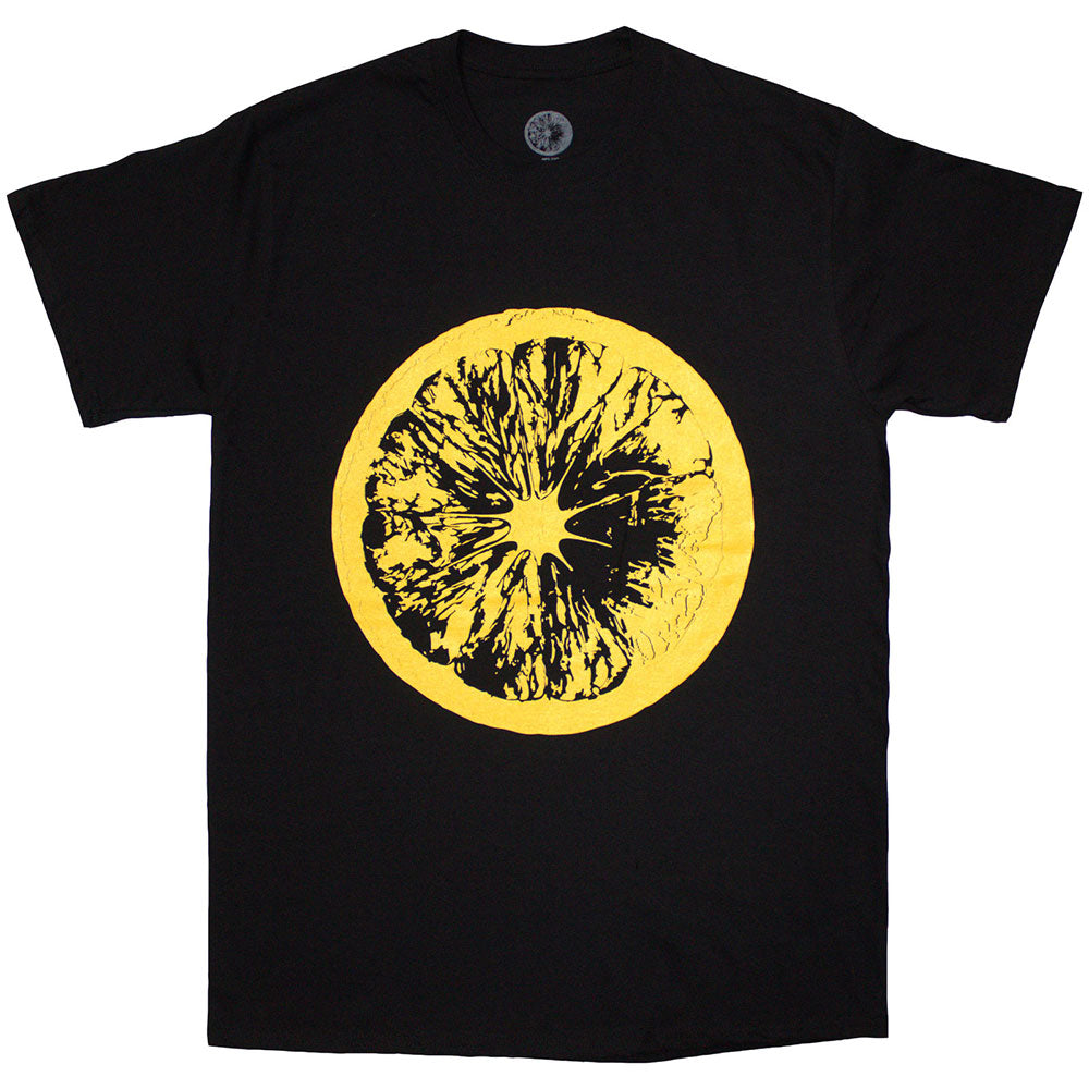The Stone Roses Shirt: Tour 2016 - Ireland Vinyl