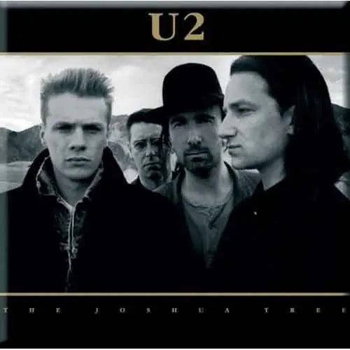 U2 Fridge Magnet: The Joshua Tree - Ireland Vinyl